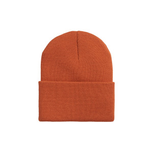 CARHARTT WIP ACRYLIC WATCH... 2