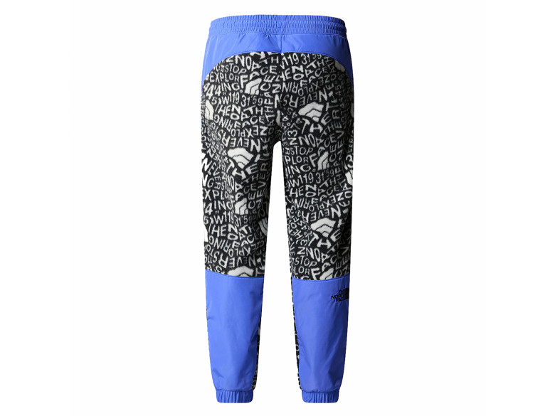THE NORTH FACE FLEESKI Y2K PANT PRINT