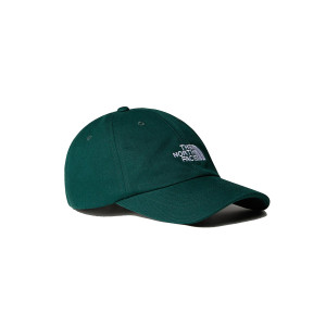 THE NORTH FACE NORM HAT...